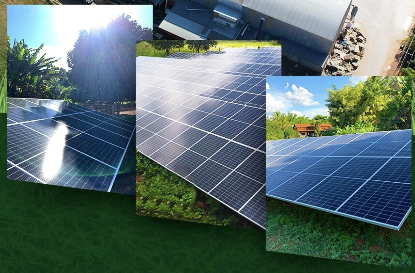 Sustentabilidade